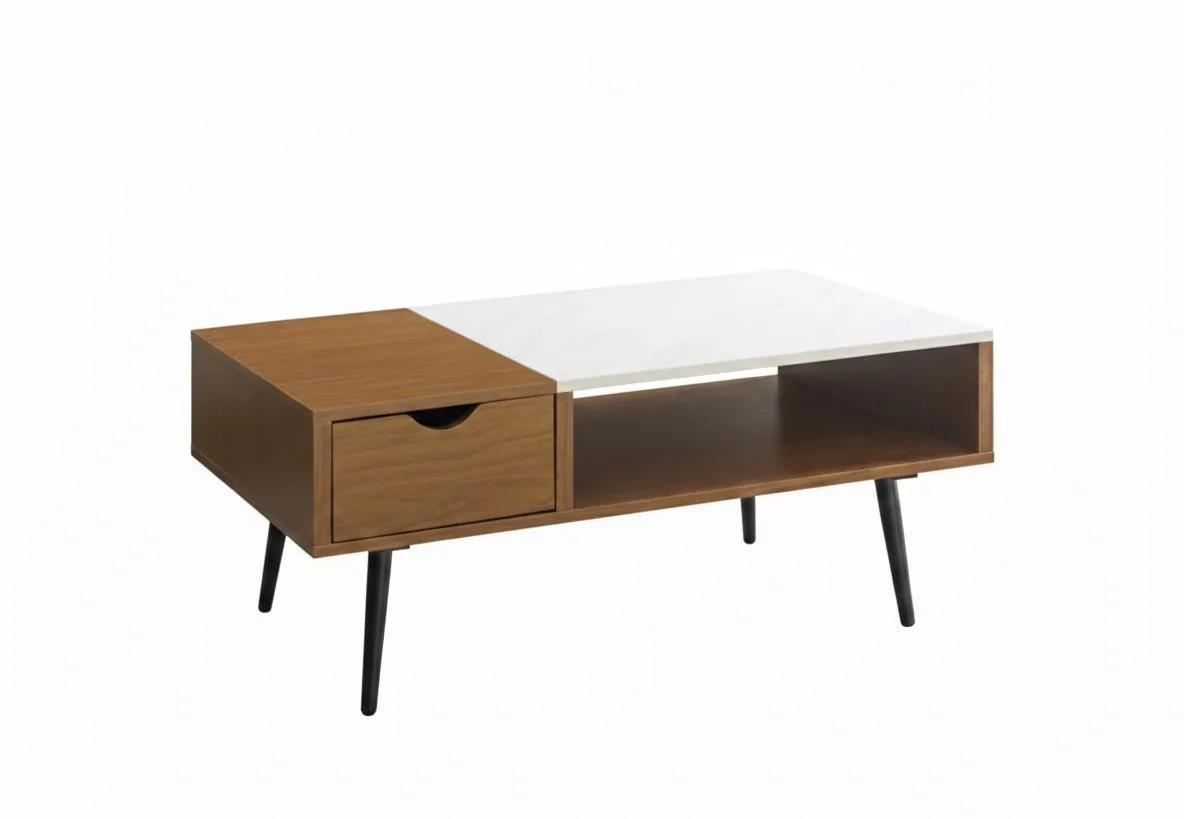 The Duo-Niche Mid-Century Coffee Table